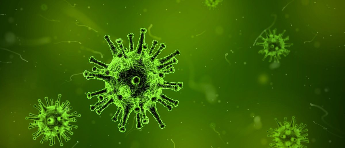 Virus