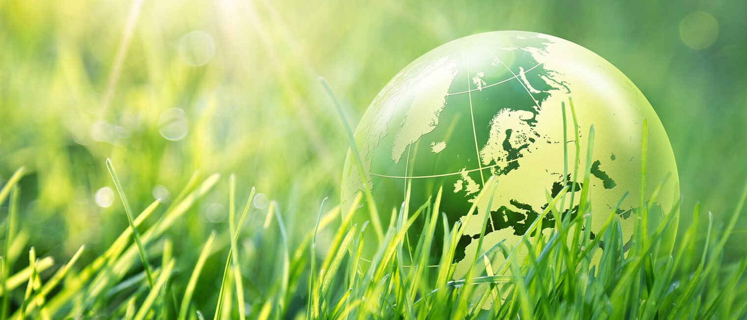 green, globe, environmental, earth, environment, grass, world, planet, concept, recycle, eco, background, global, recycling, conservation, nature, glass, leaf, energy, map, ecology, plant, abstract, europe, sun, crystal, business, life, light, sphere, protect, care, conceptual