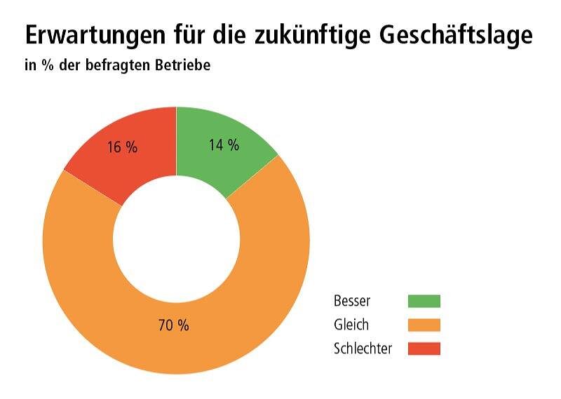 Konj_Erwartungen_22_1