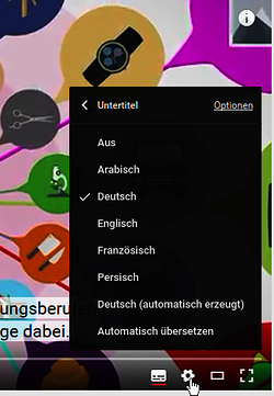 Screenshot Untertitel Ausbildung im Handwerk