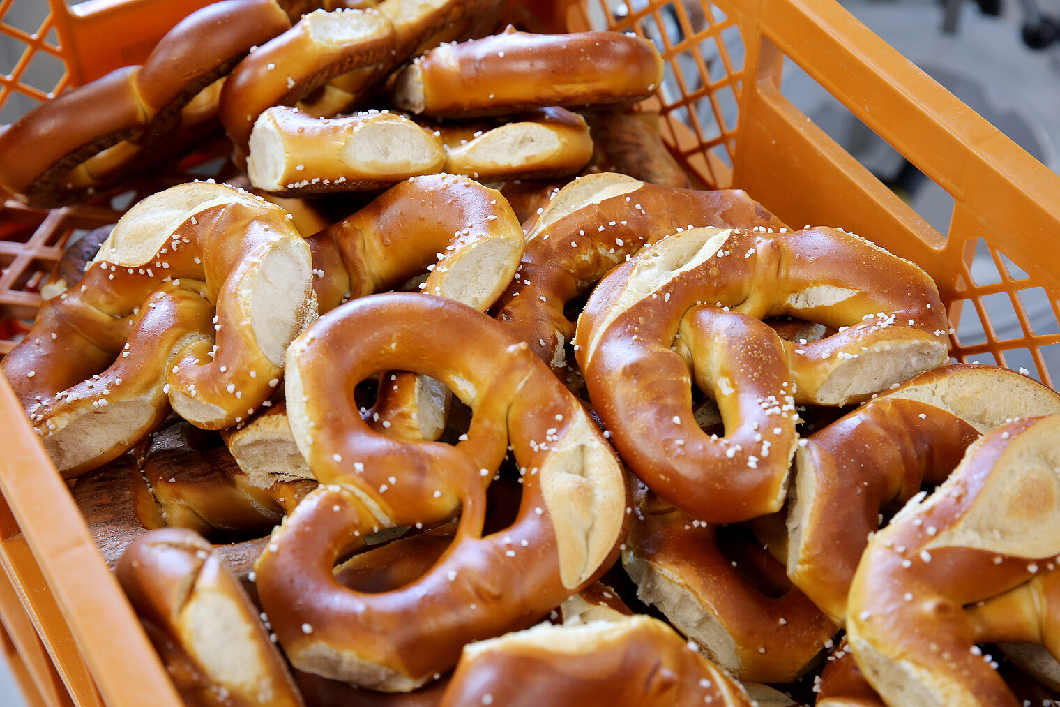 Einweihung Bäckerei-Lehrwerkstätten im BTZ Kempten Einweihung Bäckerei-Lehrwerkstätten im BTZ Kempten