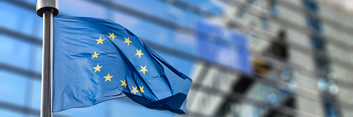 EU-Flagge_EU-Parlamentsgebäude