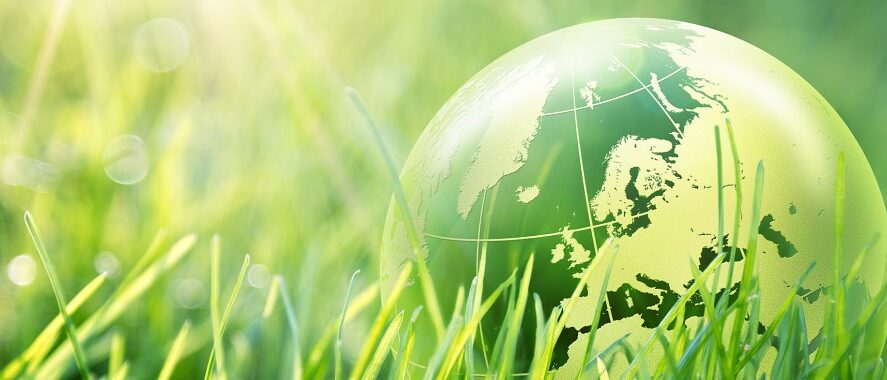 Weltkugel im Gras grün Nachhaltigkeit Umwelt